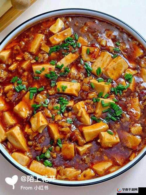 麻辣鲜香：麻婆豆腐天美传媒的独特风味