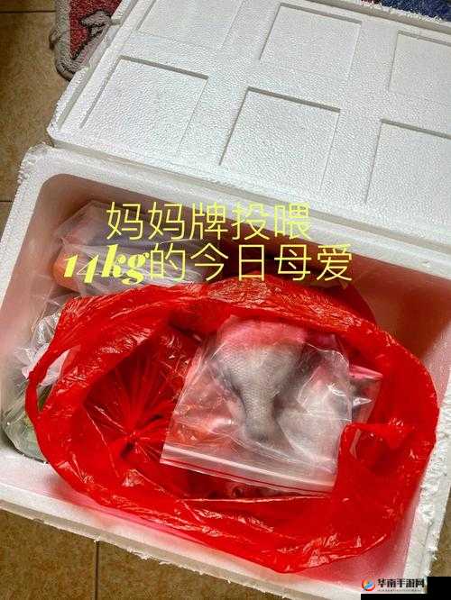 疫情期间母爱突破下的品书居故事