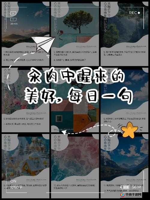 每天醒来都在汆肉中：探寻这一奇特现象背后的故事