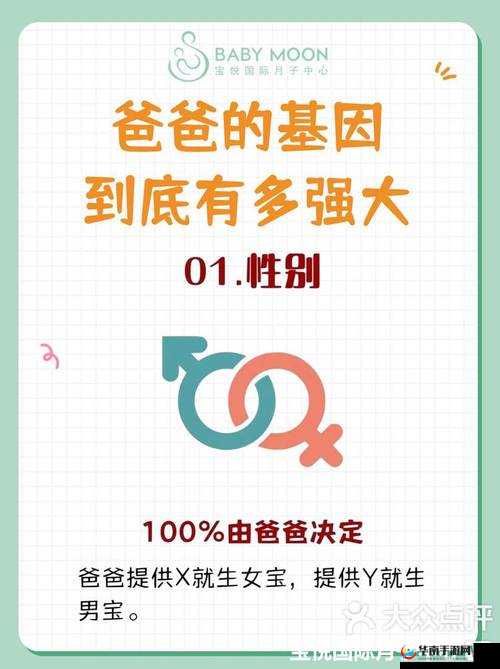 爸爸的比老公的大好多：家庭关系中的奇妙差异