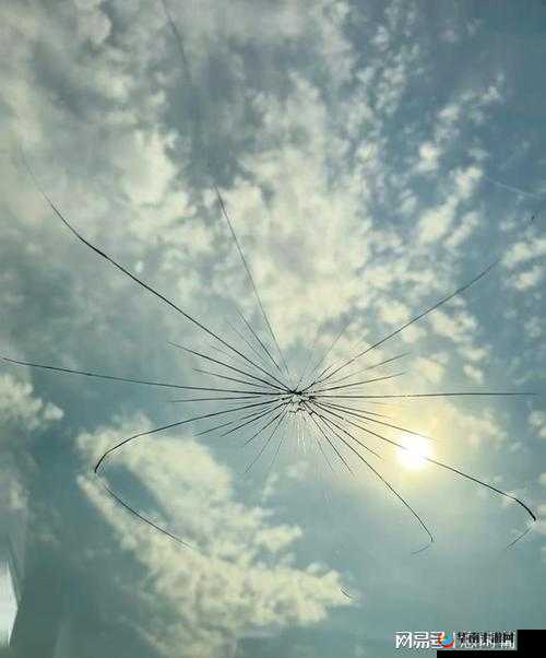 9 分 42 秒头撞玻璃视频：令人震惊的危险行为实录