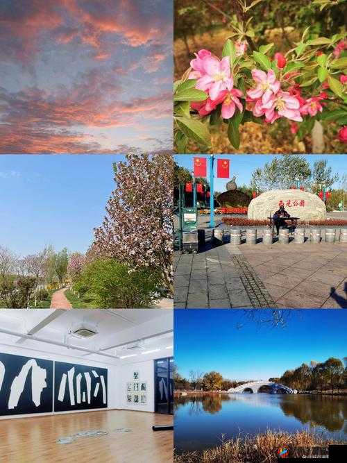 120 分钟尽情畅享不遮不掩随便看的精彩内容