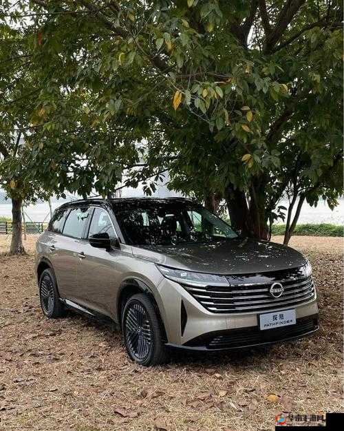 日产高清卡 1 卡 2 卡 3 视频：体验极致视觉盛宴