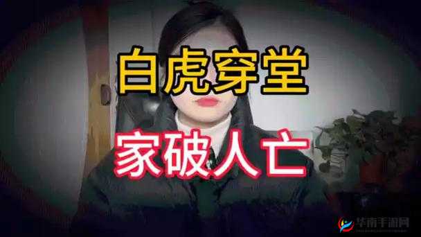 白虎肥逼的神秘传说与独特魅力