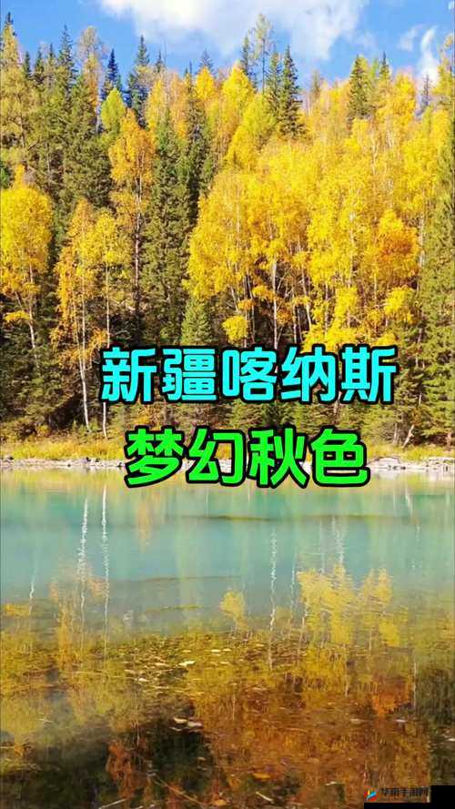 中国新疆 XXXXXL19Dfm 独特魅力震撼呈现