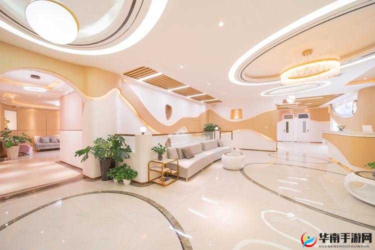 私人医院的特殊治疗：为患者带来的独特医疗体验与效果分析