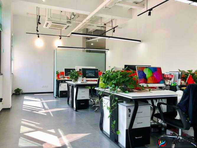 九一传媒公司：专注网站制作，打造专业互联网平台