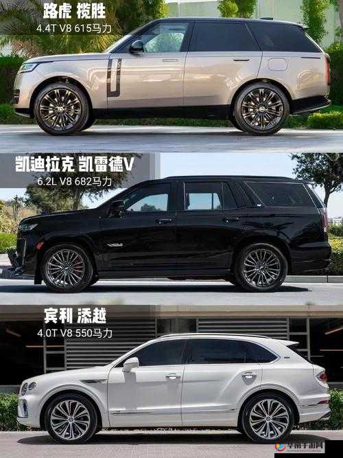 欧美亚洲精品 SUV：带你领略不同地域的高品质汽车魅力