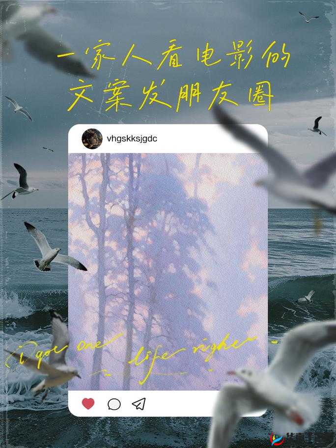 B站一起看邀请自己：和小伙伴们共享欢乐观影时光