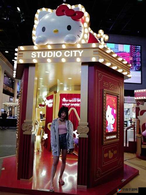 关于 bttitbtkitty 的奇妙故事探讨