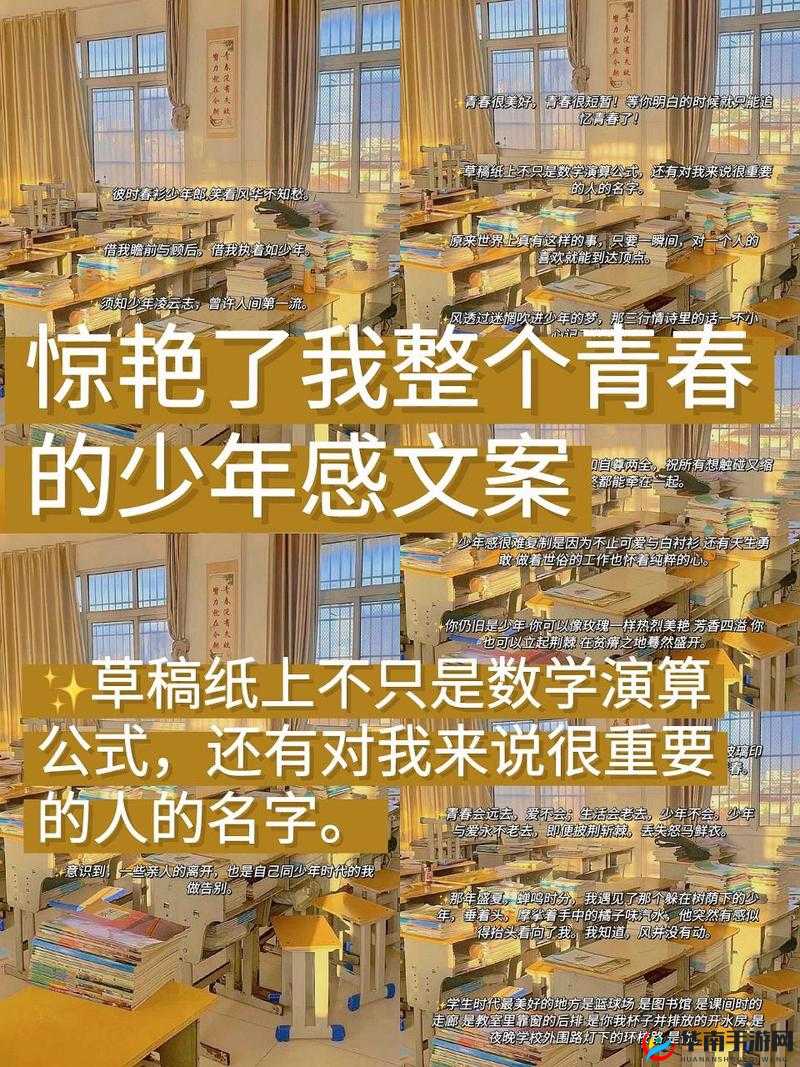 收入囊中校园-hpn ：带你领略青春校园的独特魅力