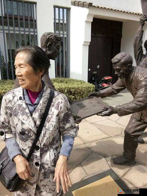 全部老头和老太 XXXXX 软件：引领老年社交新潮流