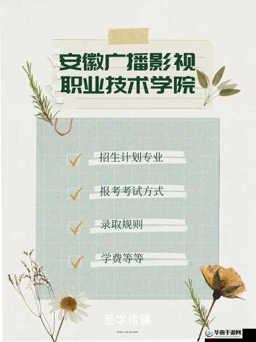 朝阳群众 51cgfun 最新 2024 相关情况备受关注