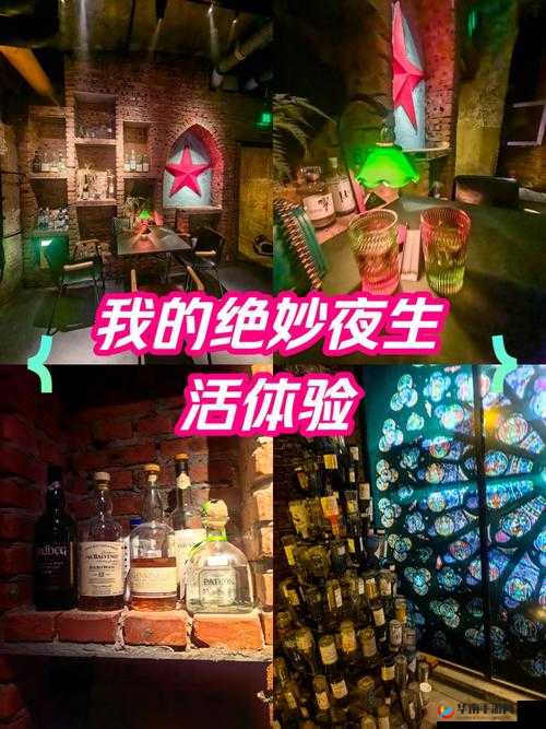 888 夜夜爽夜夜躁精品：极致刺激的独特体验