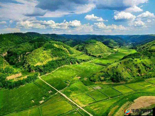 大地资源在线资源免费：提供丰富多样且完全免费的各类资源