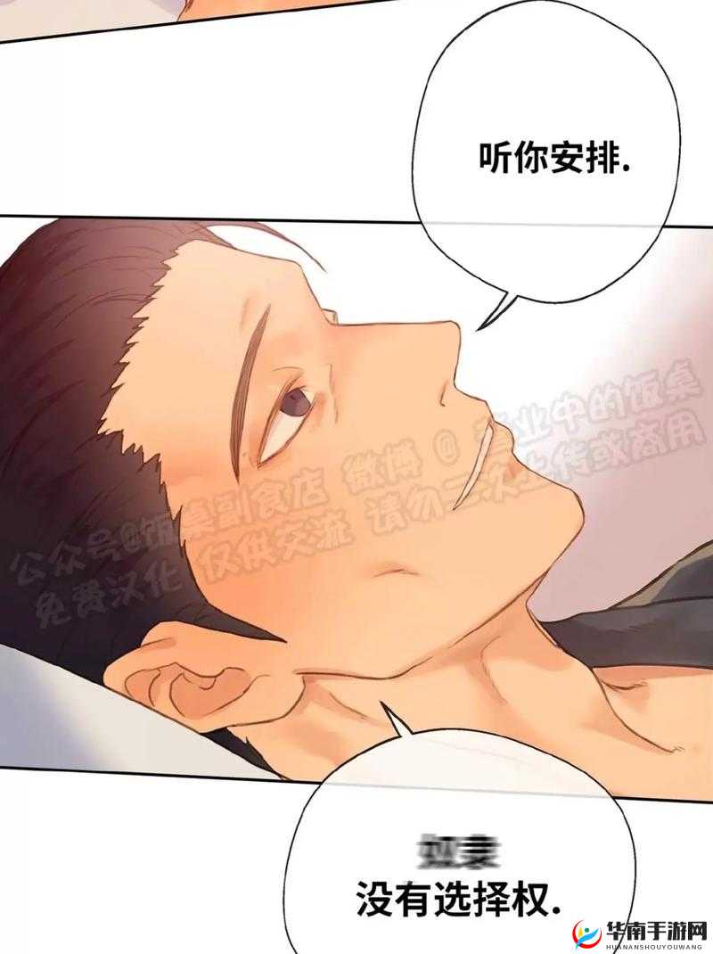 如何调教宠物狗：S 与 M 小狗的奇妙故事