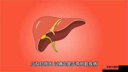 办公室强肝：每周一至周五 XX-XX-XX-XX 播出