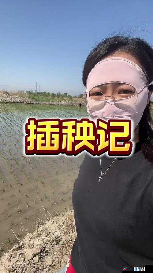 男友说想插秧了：是隐喻还是真的想去种田？