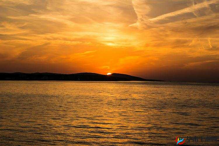 爱情岛论坛永久路线1：带你领略独特的情感世界与交流天地