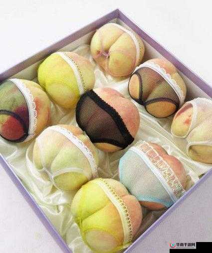 www1688com 麻豆：探索时尚潮流的秘密基地