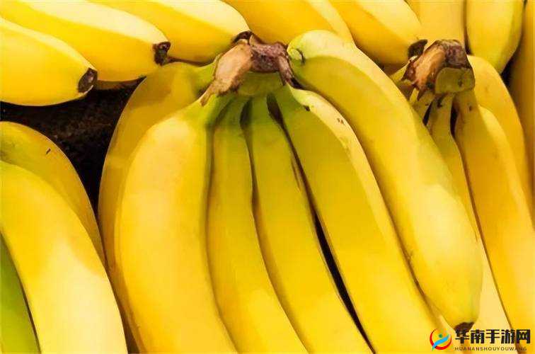 国产精品久久久久久精品香蕉：关于其独特魅力与价值的探讨