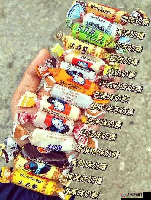 小花园里的大白兔：如何欺负女生的别样视角探讨