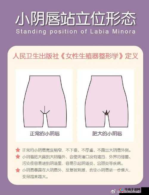 尿道口肥大是什么原因引起的以及相关症状表现与治疗方法探讨