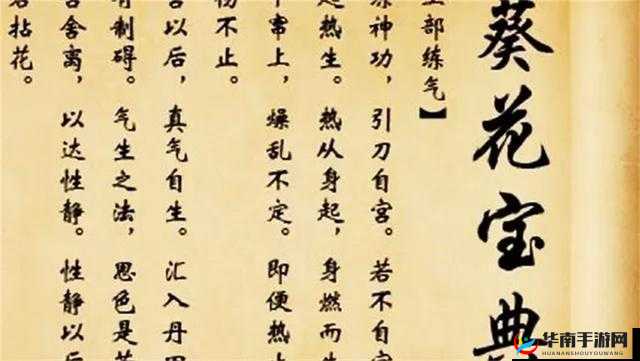 葵花宝典未满年龄确认请离开：欲练神功，必先自宫