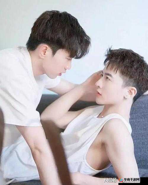 欧美老头 gaygay1069：一个充满魅力的同性恋者的故事