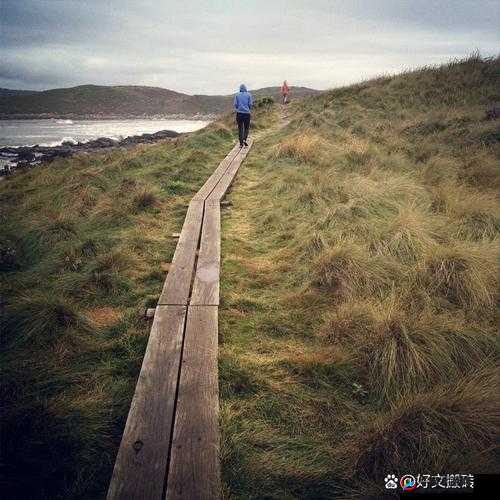 藏精阁勃大精深 AV：探索未知的性知识世界