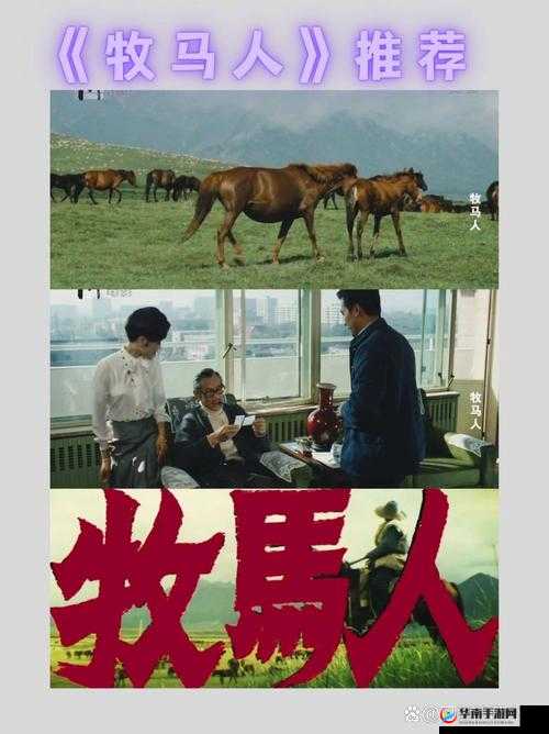 DVD 相片电影故事 ：那些被定格的美好瞬间与回忆