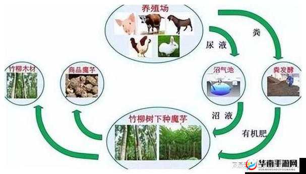 人马畜禽 CORPORATION 猪养殖行业所面对的课题-当前发展困境与应对策略探讨