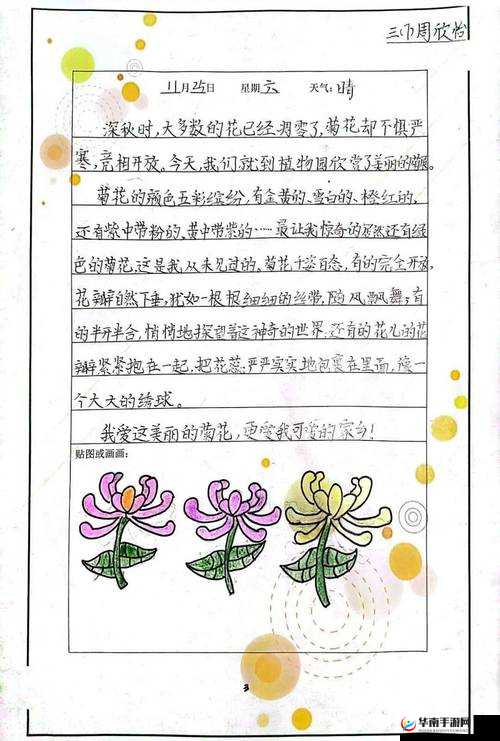 六年级菊花究竟能塞下几支笔的神奇探究