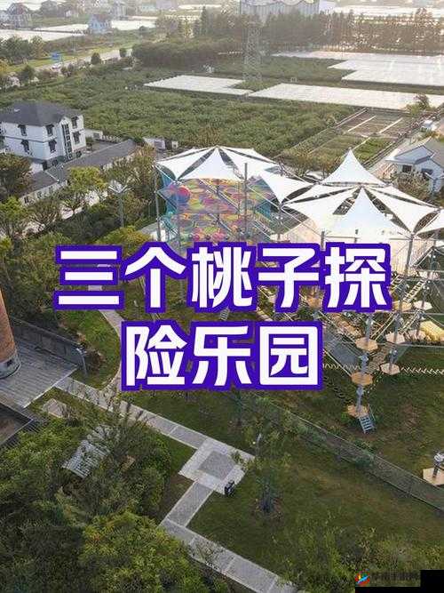 水蜜桃秘密基地：探寻那充满惊喜与浪漫的奇妙之地