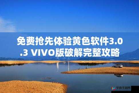 3.0.3 免费 vivo 版破解大全 2024：畅享非凡应用体验