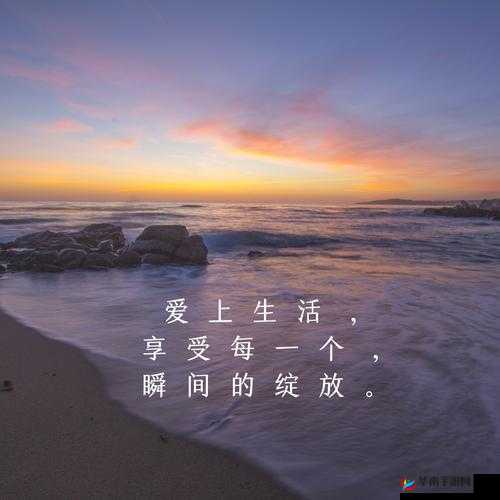 品色网：优质图片分享平台，发现美好瞬间