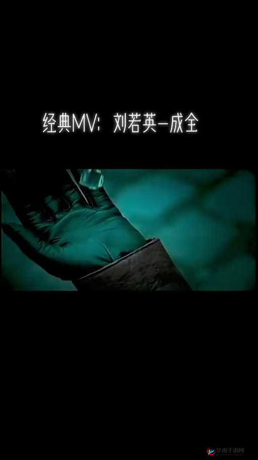 成全看免费观看 MV 之精彩内容详细解析与分享
