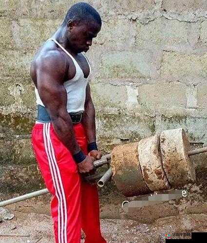 非洲人性功能强大的原因探析及相关解读