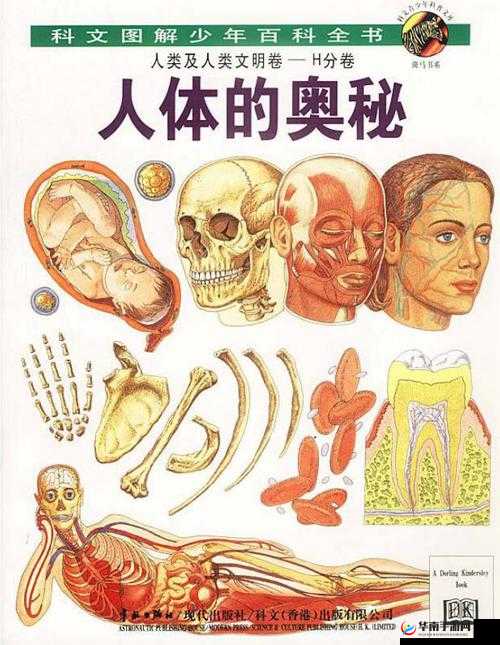 探索裸体美穴的奥秘：人类身体的奇妙之处