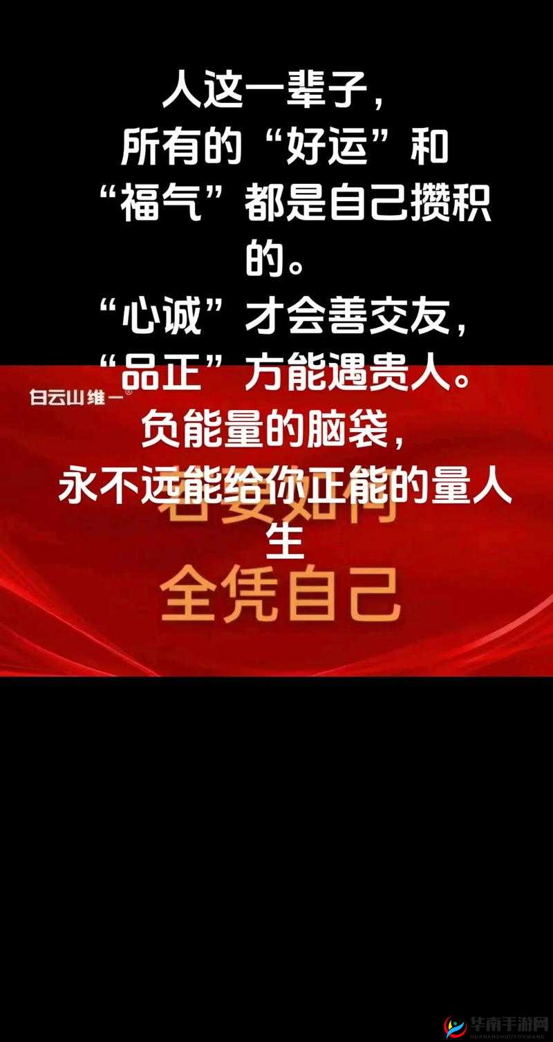 Z0OZO0 人善之交另类：独特视角下的别样情谊