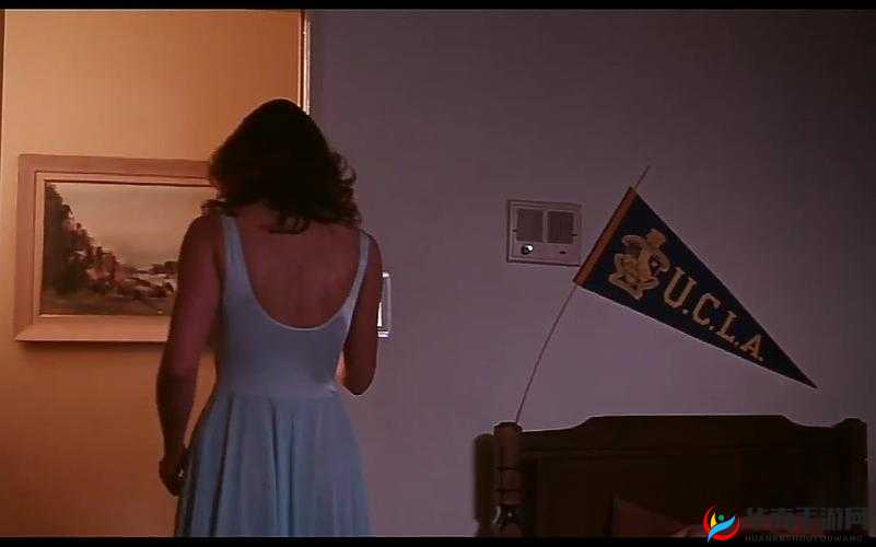 美国式禁忌 2 年轻一代：探索青春与禁忌的交织