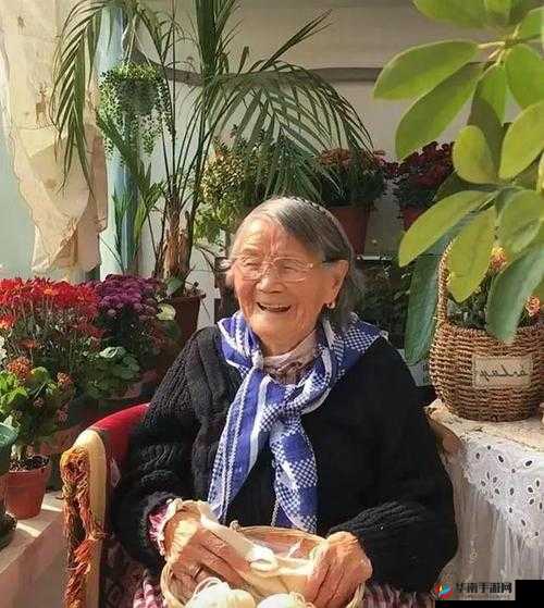 free 亚洲色老太 HD：亚洲老太的激情岁月