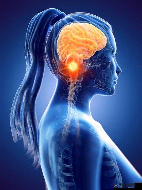 非洲人与性动交 cc oo：引发深刻思考与探讨的特殊现象