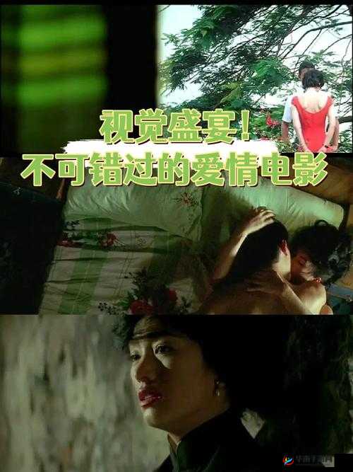 草流视频：展现独特视角与精彩内容的视觉盛宴