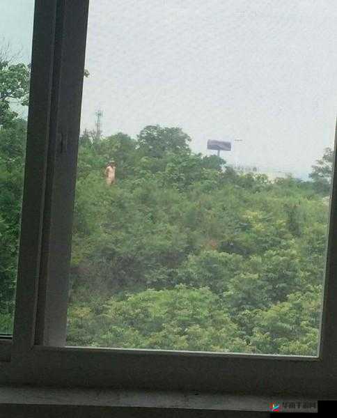 裸男晨勃露 J 毛 18 禁网站：探索男性私密地带的神秘世界