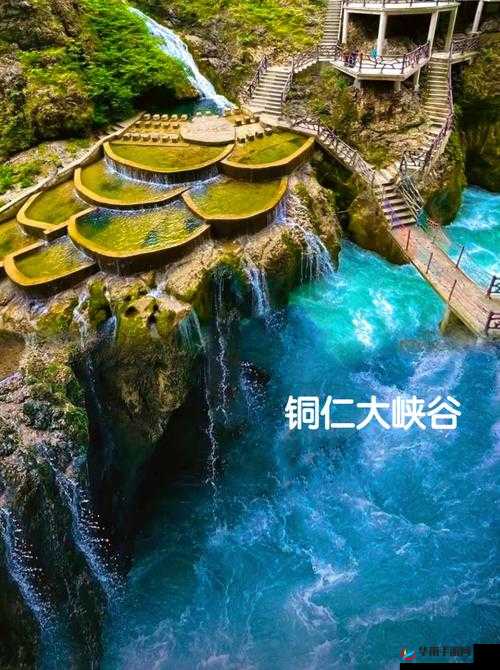 铜铜铜铜仁又大又深板：独特魅力令人惊叹不已