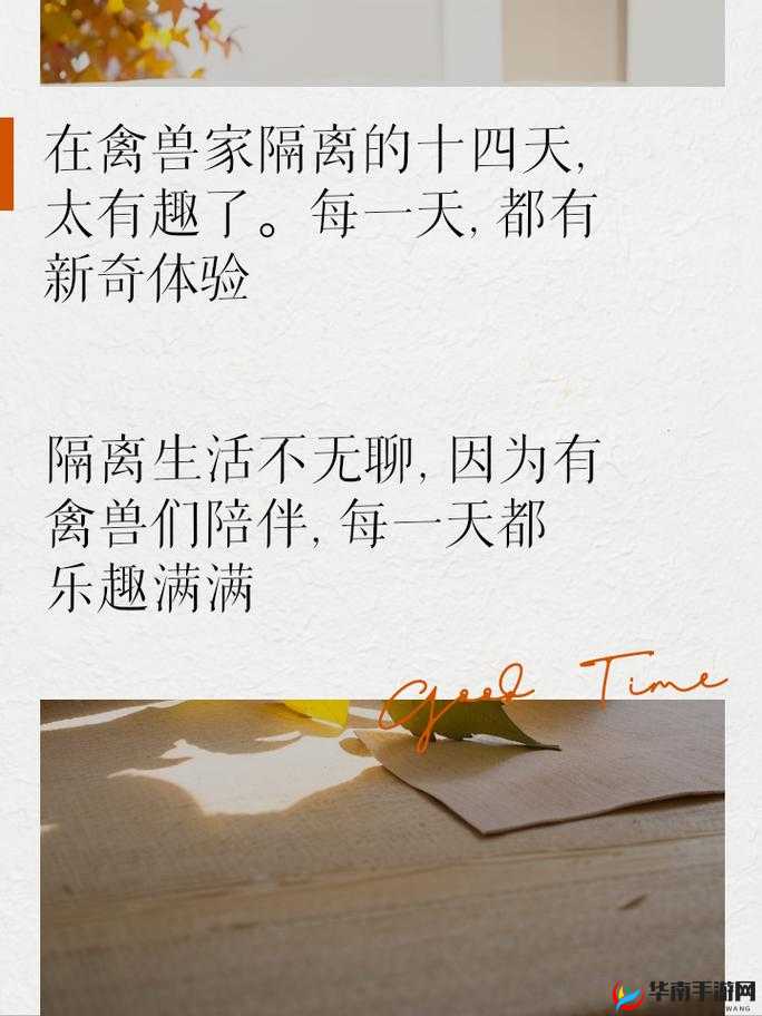 隔离在禽兽家的十四天：一场特殊的经历与感悟