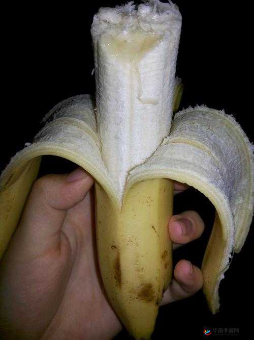 黑人大香蕉的独特魅力与精彩故事