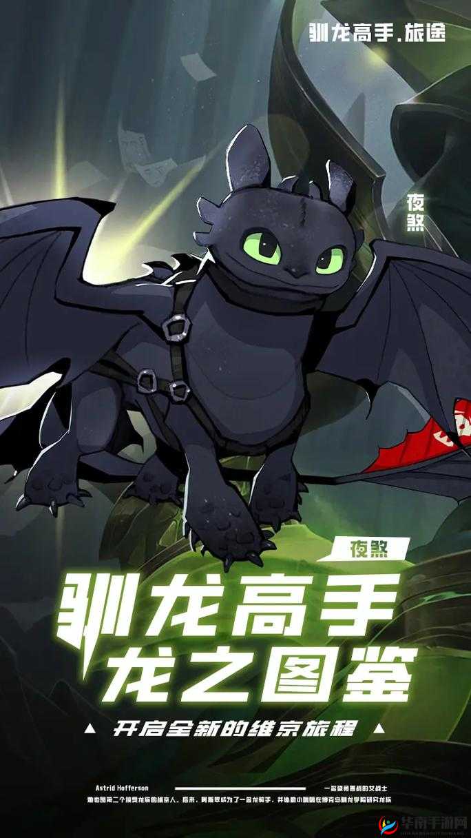 驯龙高手旅程轰鸣龙怎么样之深度解析与全面探讨