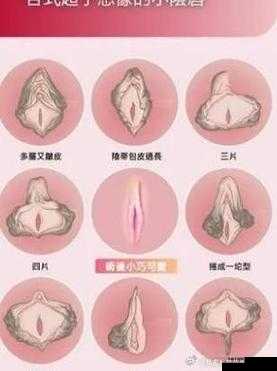 女性私密部位特写：挑战视觉的私密瞬间